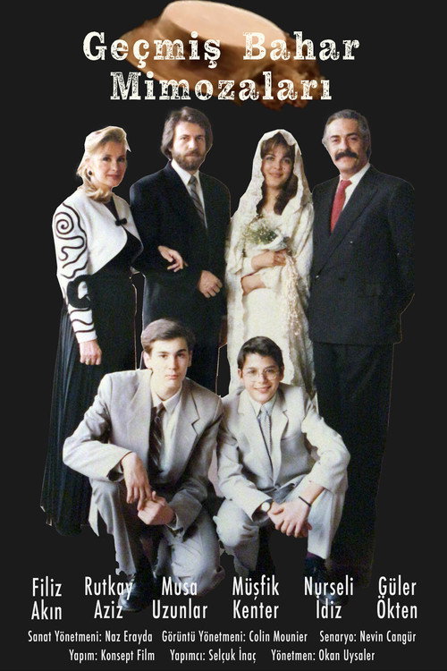 Geçmiş Bahar Mimozaları poster