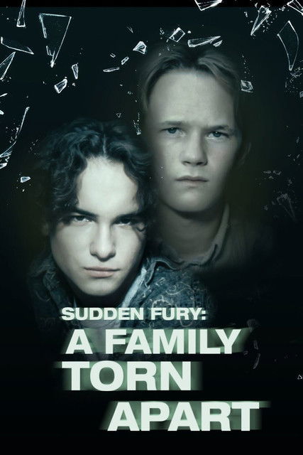A Family Torn Apart poster