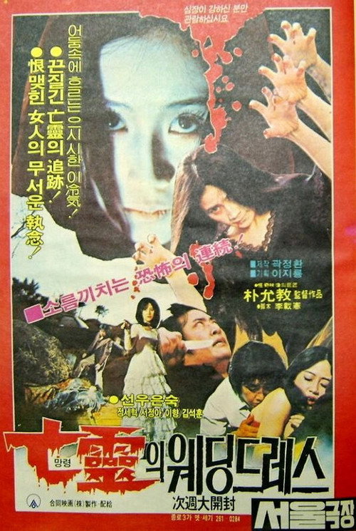 The Haunted Wedding Dress poster