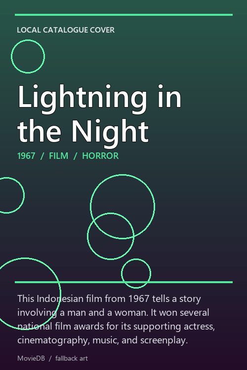 Lightning in the Night poster