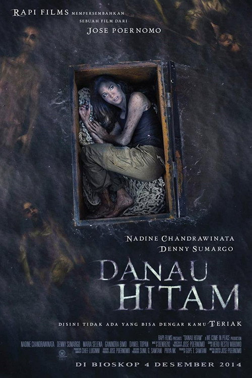 Danau Hitam poster