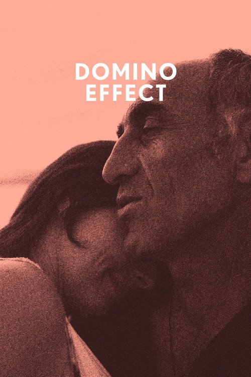 The Domino Effects poster