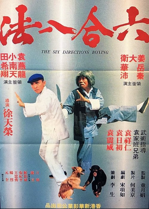 Six Directions of Boxing poster