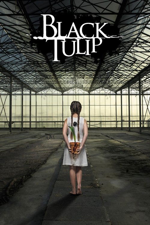 Zwarte tulp poster