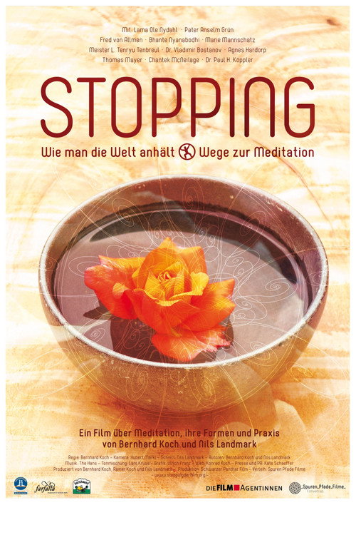 Stopping: How to Stop the World poster