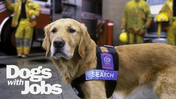 Dogs with Jobs poster