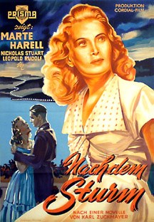 After the Storm poster