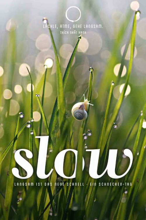 Slow poster