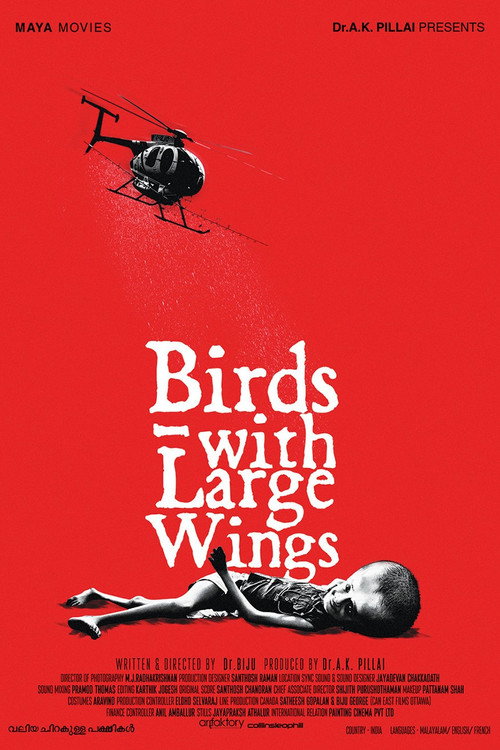 Birds With Large Wings poster