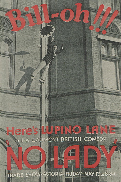 No Lady poster