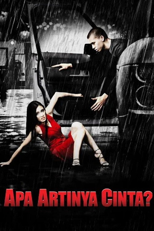 Apa Artinya Cinta? poster