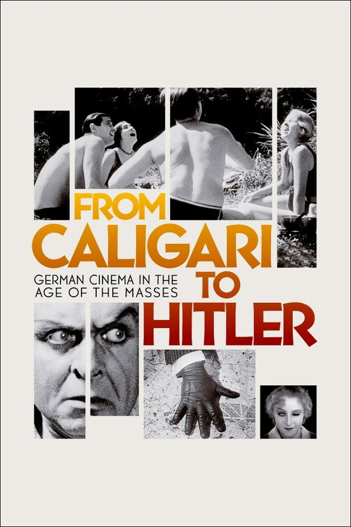 From Caligari to Hitler: German Cinema in the Age of the Masses poster