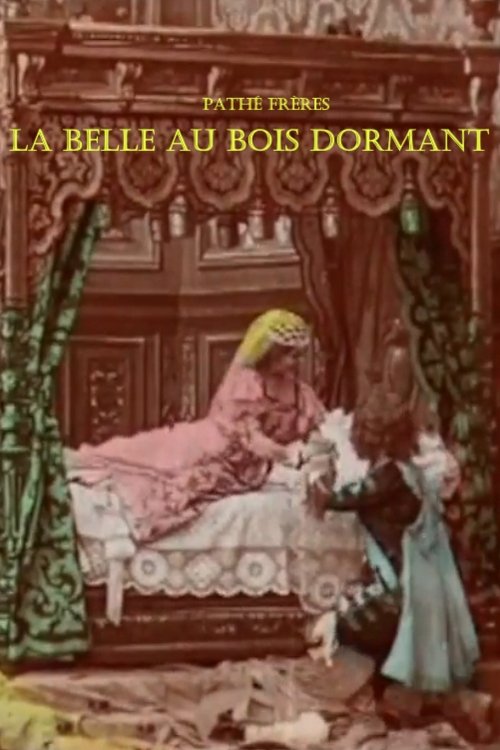 La Belle au bois dormant poster