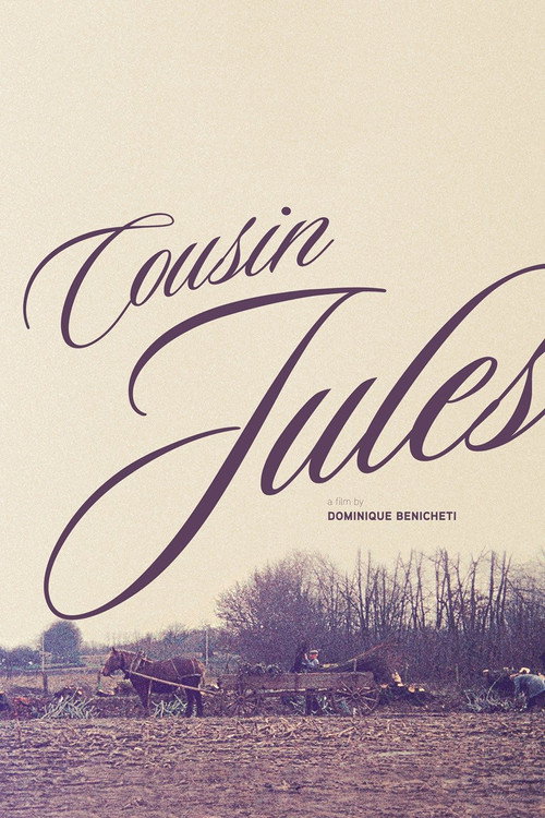 Le cousin Jules poster