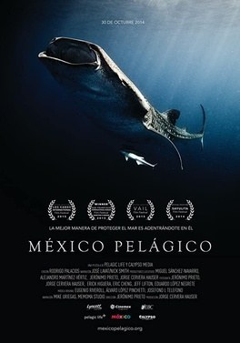 Mexico Pelagico poster
