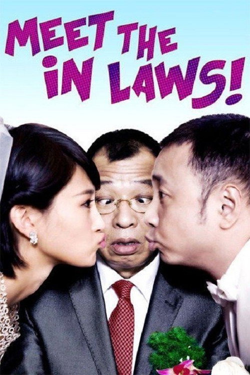 Meet the In-Laws poster