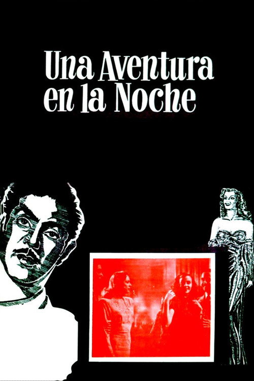 Adventure in the Night poster