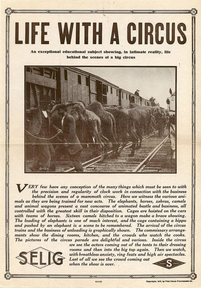 Life with a Circus poster