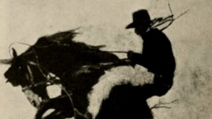 The Millionaire Cowboy poster