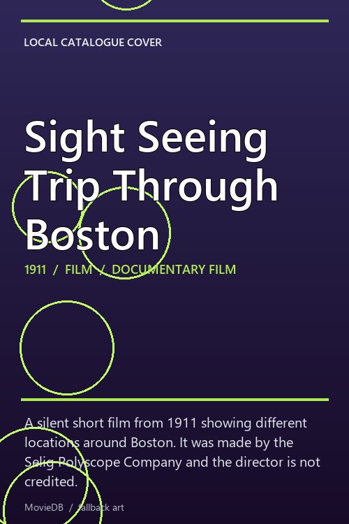 Sight Seeing Trip Through Boston poster