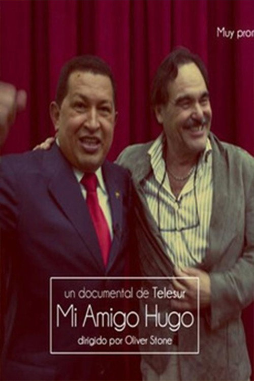 Mi amigo Hugo poster