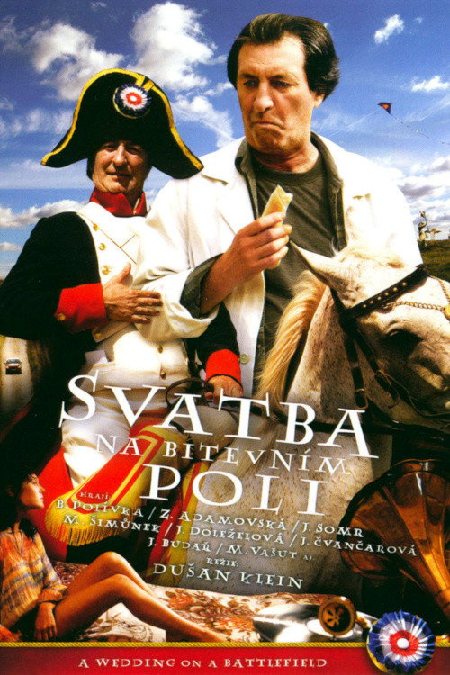 The Wedding on Battle Field poster