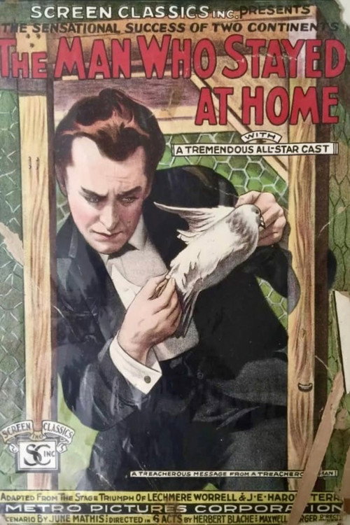The Man Who Stayed at Home poster