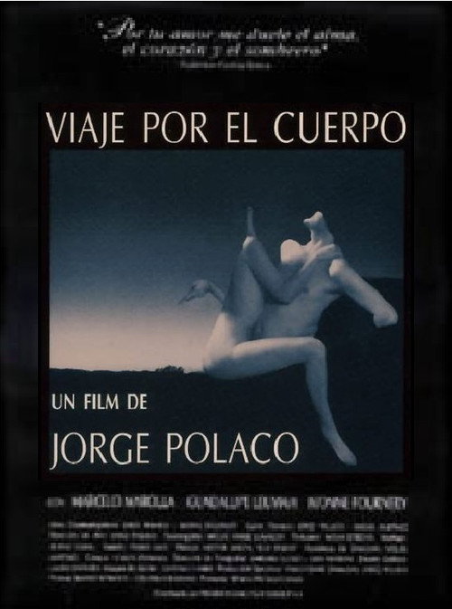 Viaje por el cuerpo poster