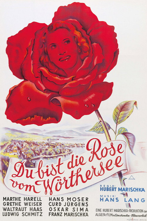 Rose of the Mountain poster