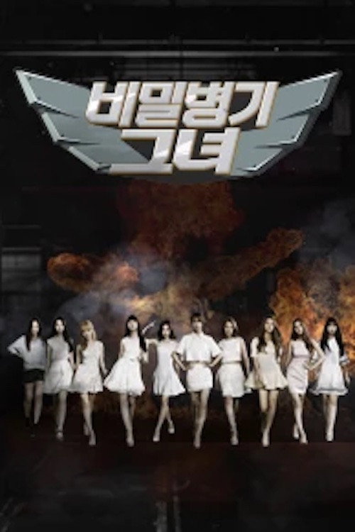 Her Secret Weapon poster