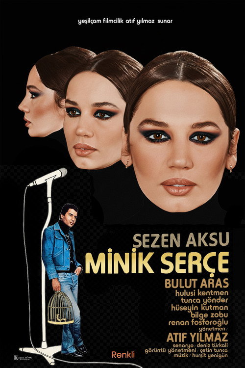 Minik Serçe poster