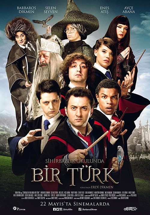 Wizard School poster