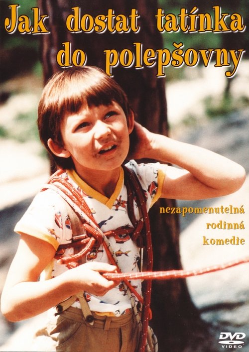 Jak dostat tatínka do polepšovny poster
