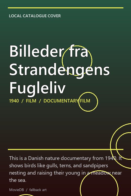 Billeder fra Strandengens Fugleliv poster