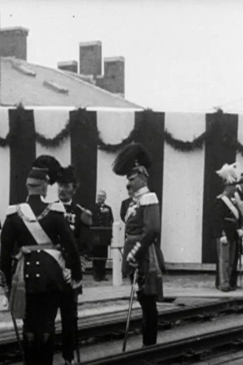 King Christian IX Receives Grand Duke Friedrich-Franz poster