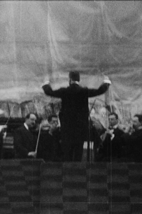 The Orchestra at Frederiksberg Theater poster