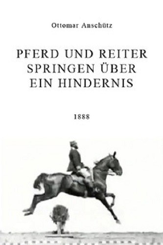 Horse and Rider Jumping Over an Obstacle poster