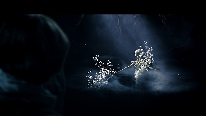 The Shadow of Boniface poster