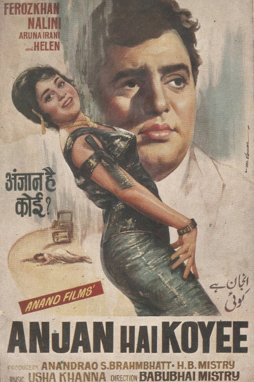 Anjaan Hai Koi poster