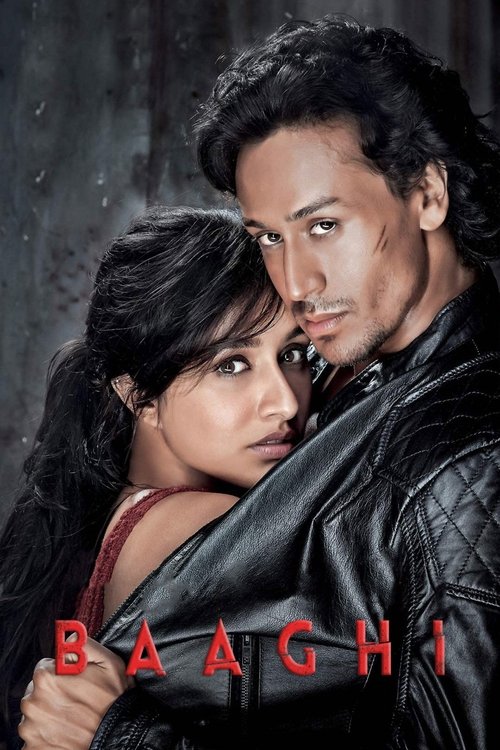 Baaghi: A Rebel For Love poster