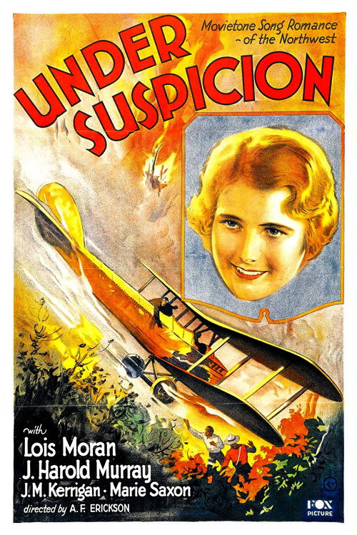 Under Suspicion poster