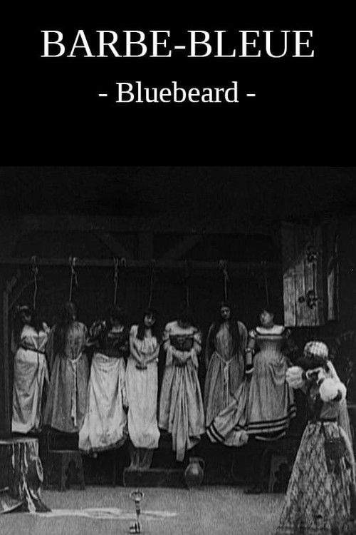 Barbe-bleue poster