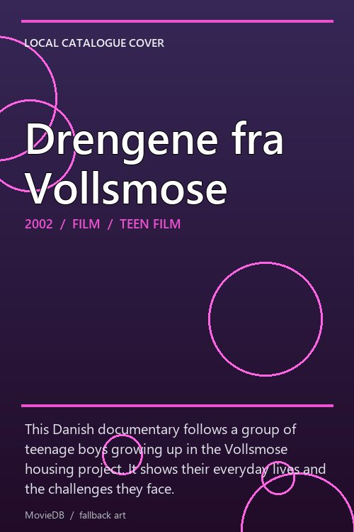 Drengene fra Vollsmose poster