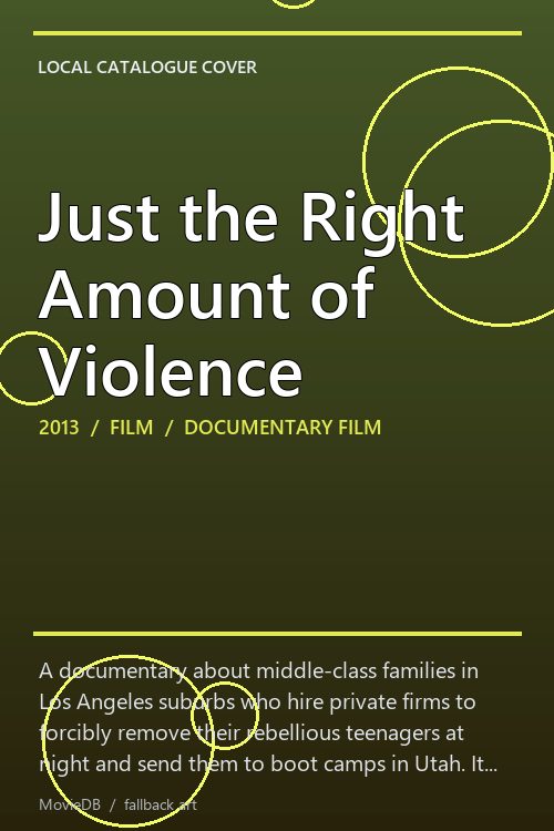 Just the Right Amount of Violence poster