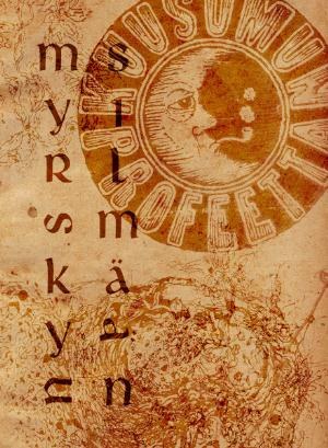 Myrskyn silmään poster