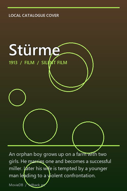 Stürme poster
