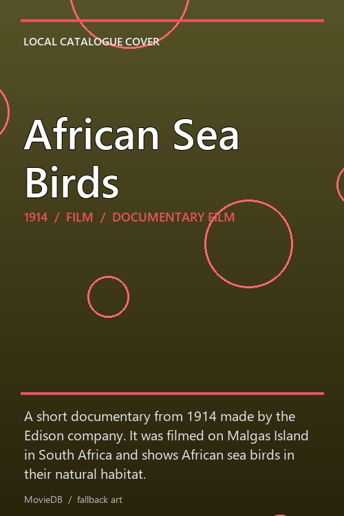 African Sea Birds poster