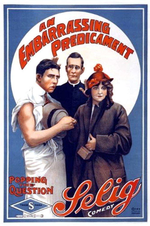An Embarrassing Predicament poster