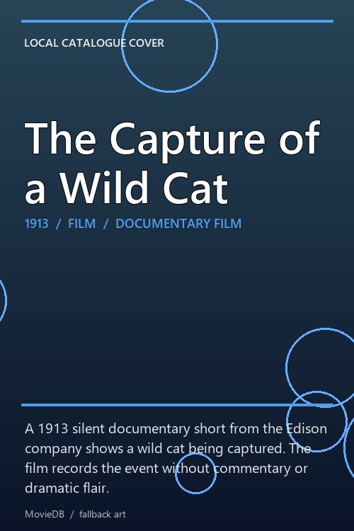The Capture of a Wild Cat poster