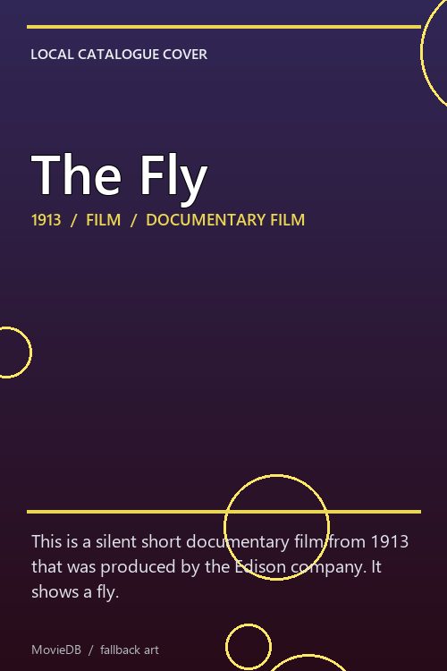 The Fly poster